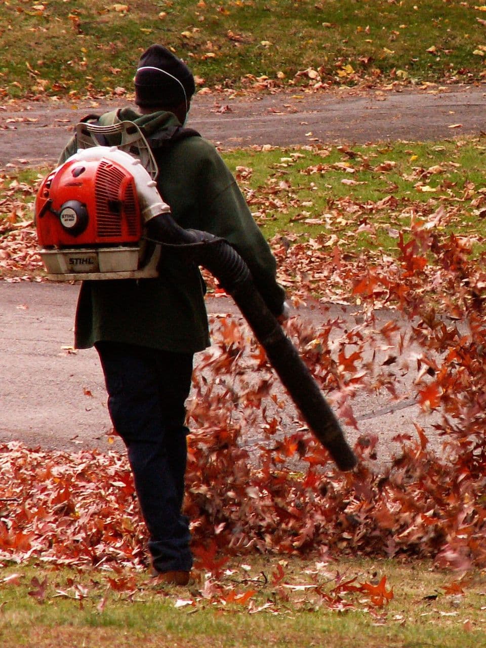 A crew member with a backpack blower sending a wave of red fall leaves across a lawn